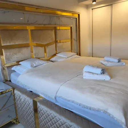 公寓 Luxury With Terrace 托雷维耶哈