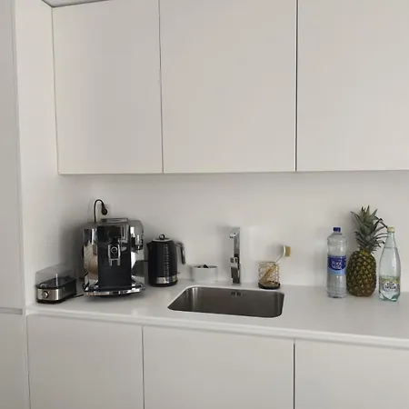 Luxury With Terrace 公寓 *