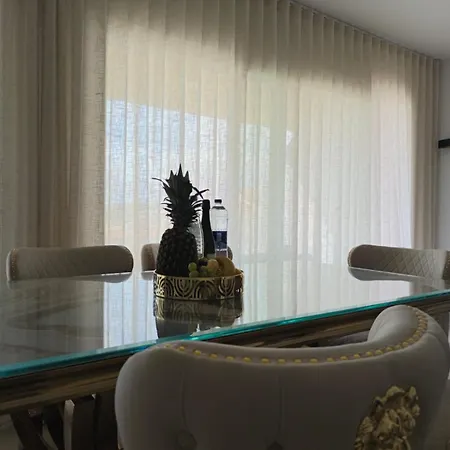 公寓 Luxury With Terrace 托雷维耶哈